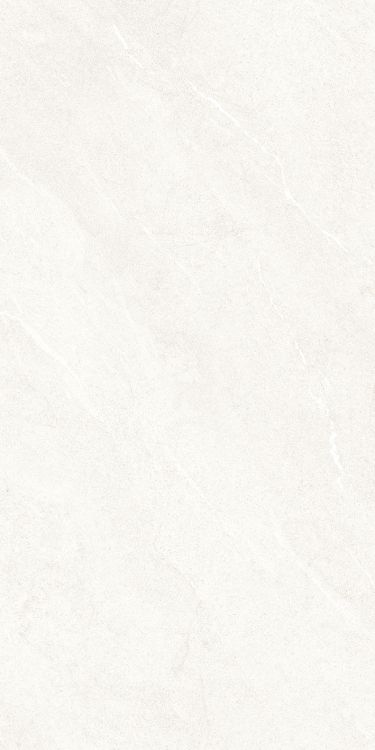 Dhara White Matte 24 x 48